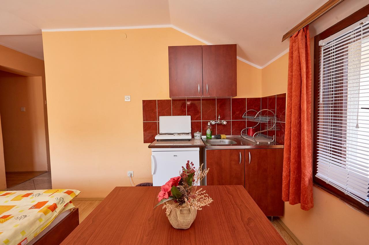 Apartmani Malica ソコバニャ エクステリア 写真